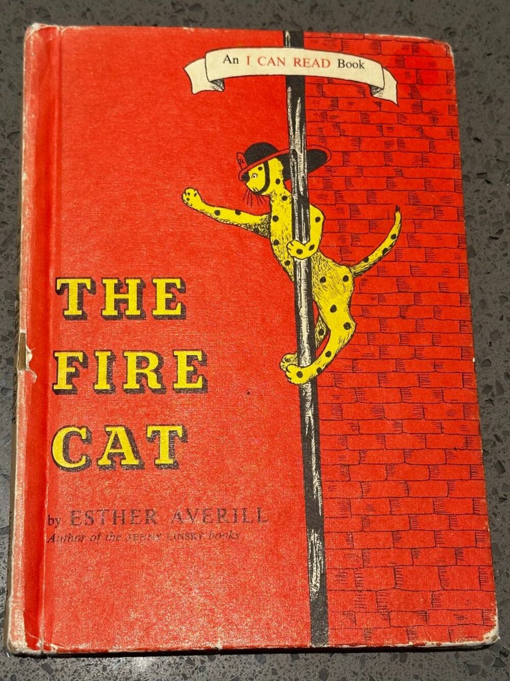 Fire Cat Children's Book